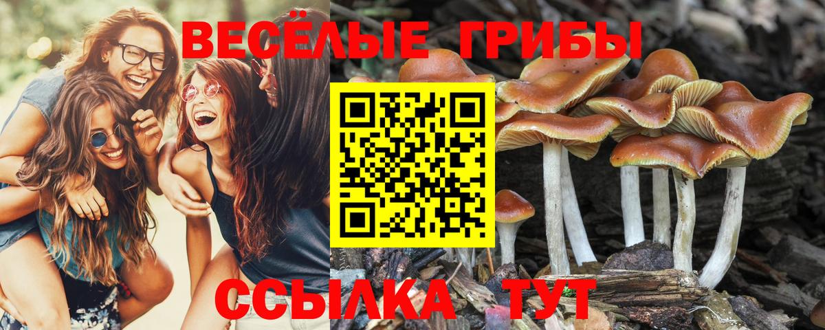 Псилоцибиновые грибы MAGIC MUSHROOMS Менделеевск